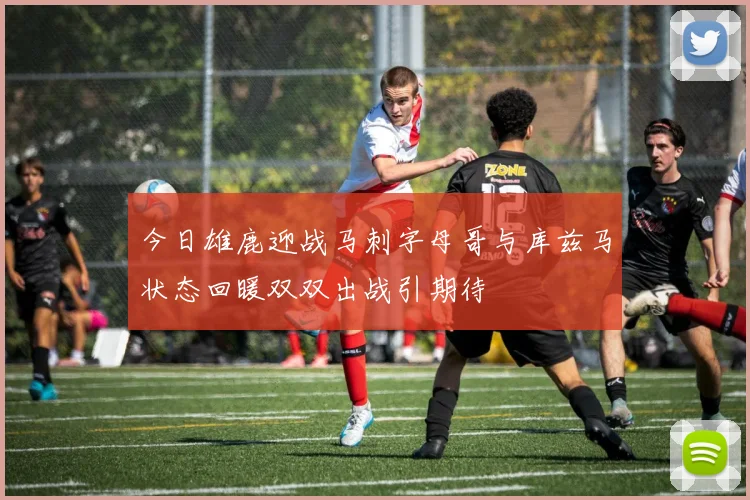 今日雄鹿迎战马刺字母哥与库兹马状态回暖双双出战引期待